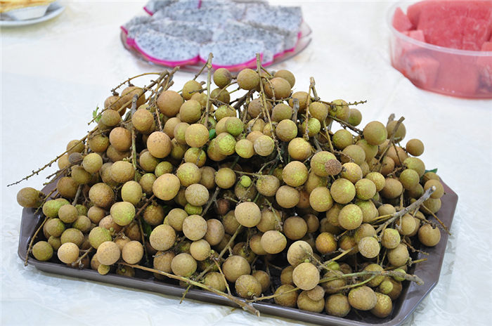 2018東科集團(tuán)主題生日派對(duì)之“桂”在有“圓”活動(dòng)回顧