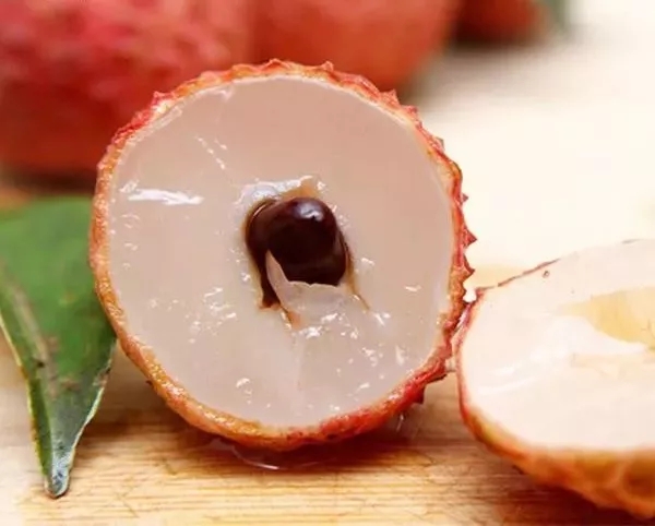 荔行朗洲，相聚東科