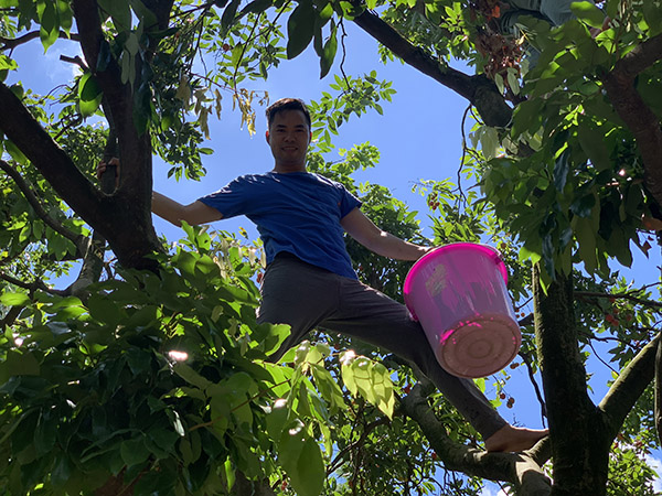 荔行朗洲，相聚東科