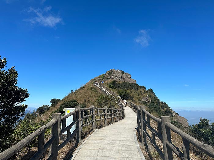 同心逐夢，溫暖同行 —— 東科集團20周年慶團建精彩回顧！