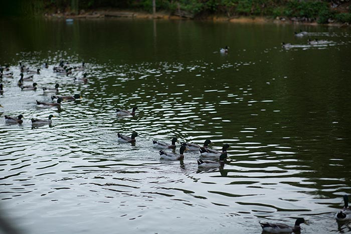 同心逐夢，溫暖同行 —— 東科集團20周年慶團建精彩回顧！
