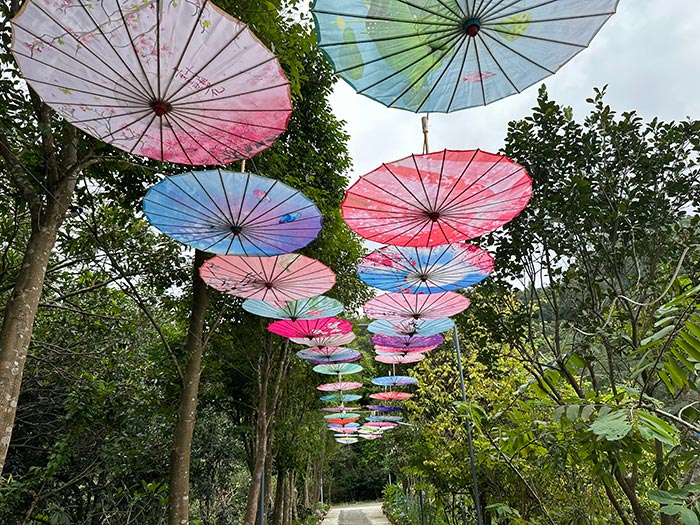 同心逐夢，溫暖同行 —— 東科集團20周年慶團建精彩回顧！