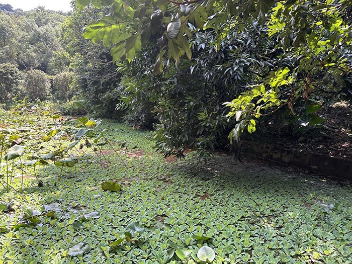 同心逐夢，溫暖同行 —— 東科集團20周年慶團建精彩回顧！