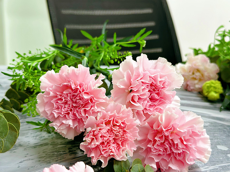 三八婦女節丨祝福所有女人：愿你笑靨如花，一生不減芳華！